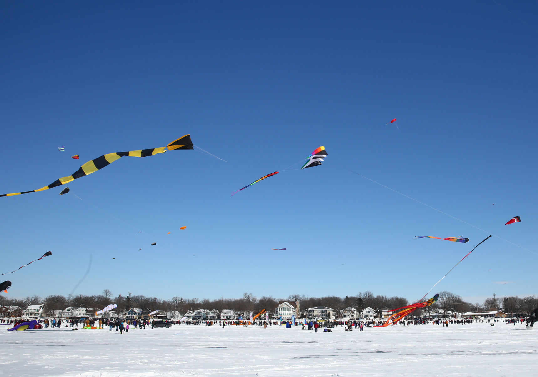 Color the Wind Kite Festival 2019 (19).jpg